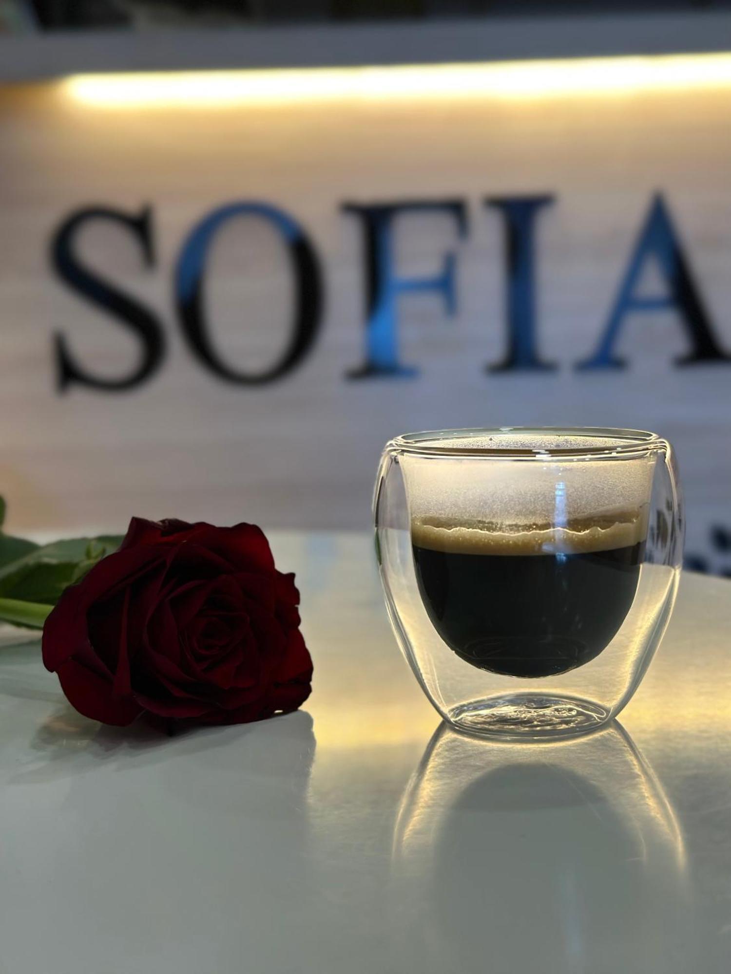 Sofia Hotel Yerevan Luaran gambar